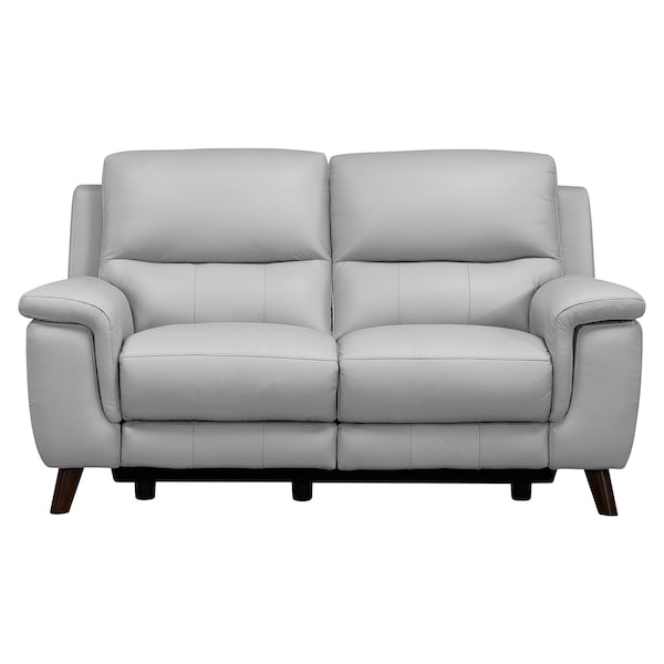Armen Living Lizette Contemporary Loveseat in Dark Brown Wood Finish and Dove Gray Genuine Leather LCLZ2DV - main